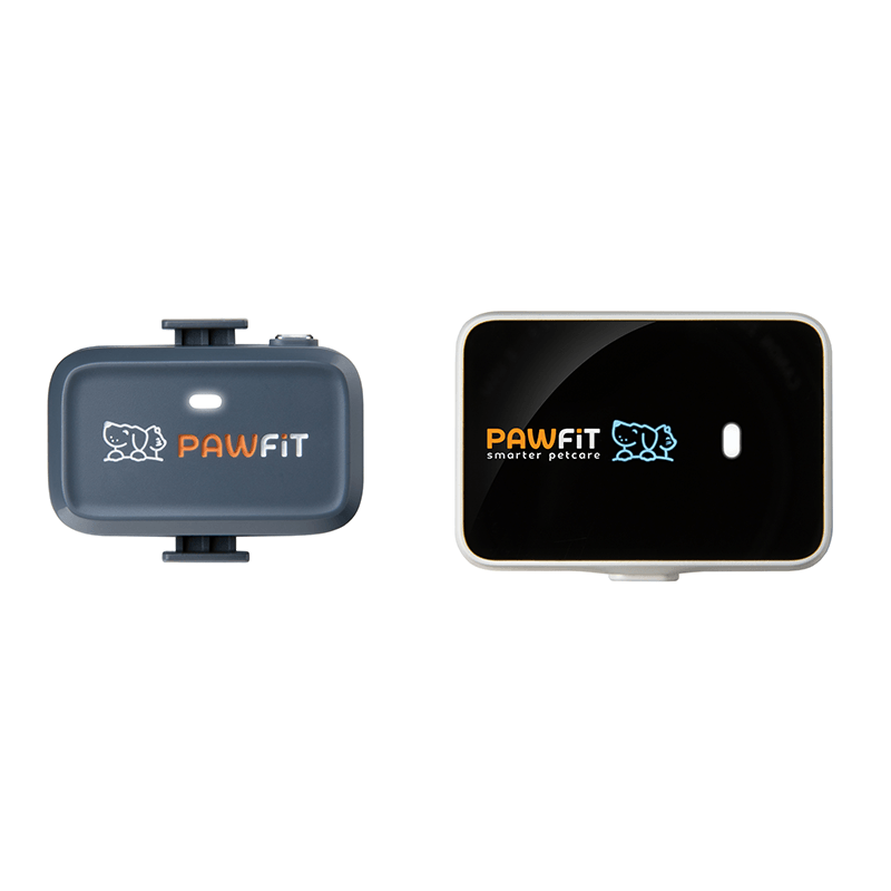 Pawfit Lite and Pawfit 3 GPS tracker size comparison