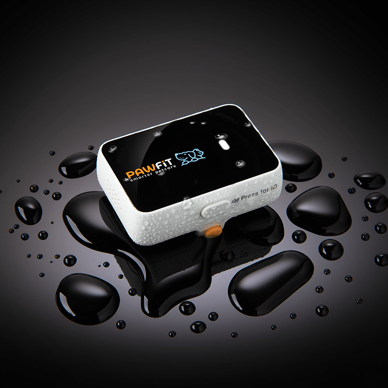 Waterproof Pawfit 3 GPS dog tracker