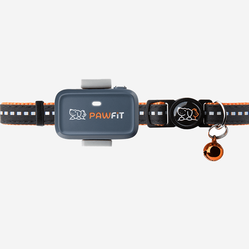Pawfit Lite GPS tracker attached to a dog collar