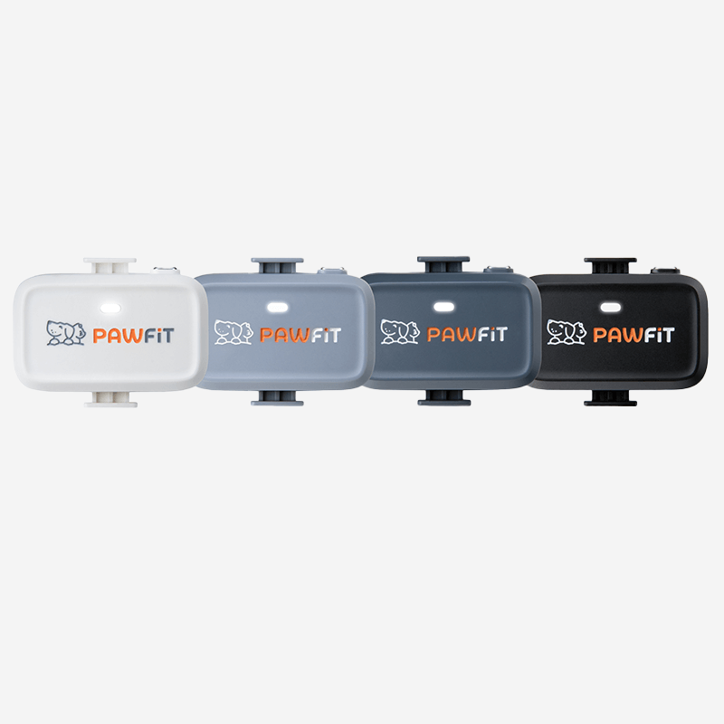 Pawfit Lite GPS dog tracker available in four colours